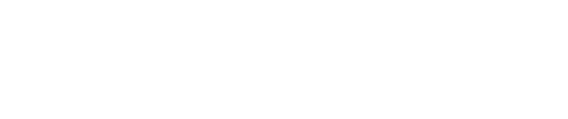 DataBoss Logo